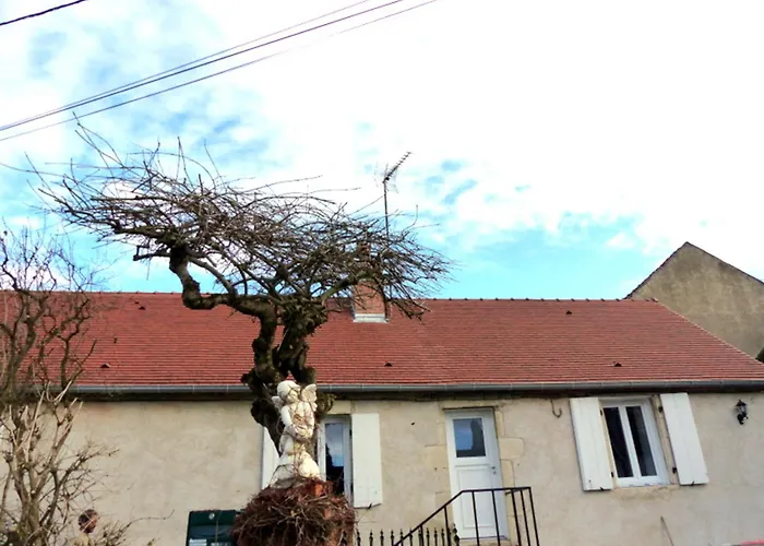 Charmante Maison Cocooning Au Cœur Du Bourbonnais, Animaux Acceptés - Fr-1-489-68